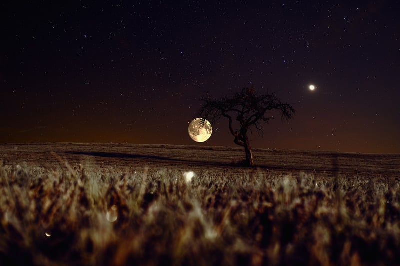 Moonlit Wedding